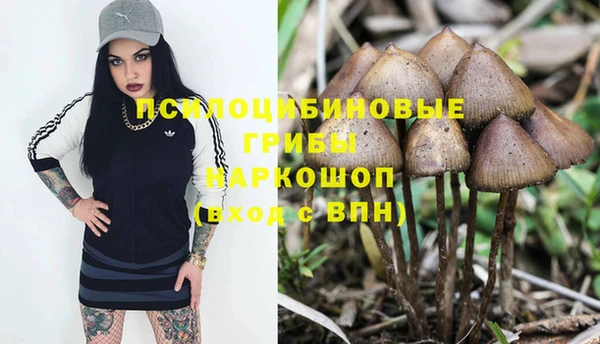 хмурый Беломорск