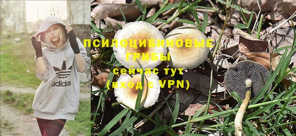 COCAINE Богданович