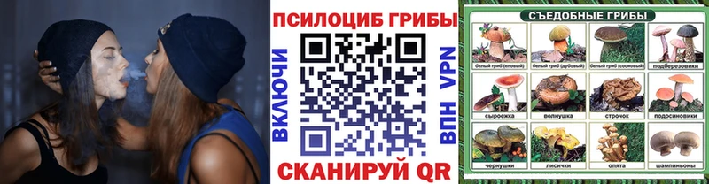Купить  Сольвычегодск  Галлюциногенные грибы ЛСД 